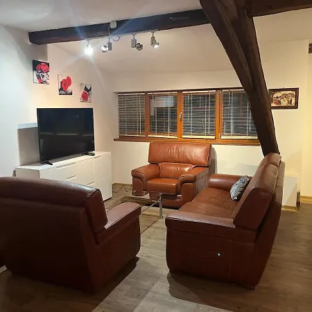 Duplex Rénové Avec Terrasse Privative à 10 Mm De Colmar Et Eguisheim, à 2 Mm Du Grand Axe Autoroutier Strasbourg Mulhouse