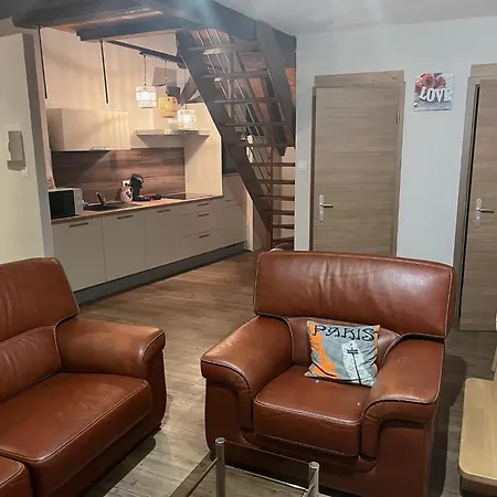 Duplex Rénové Avec Terrasse Privative à 10 Mm De Colmar Et Eguisheim, à 2 Mm Du Grand Axe Autoroutier Strasbourg Mulhouse Sainte-Croix-en-Plaine