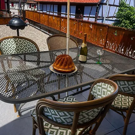 Duplex Rénové Avec Terrasse Privative à 10 Mm De Colmar Et Eguisheim, à 2 Mm Du Grand Axe Autoroutier Strasbourg Mulhouse Apartamento Sainte-Croix-en-Plaine