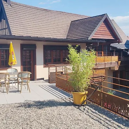 Duplex Renove Avec Terrasse Privative A 10 Mm De Colmar Et Eguisheim, A 2 Mm Du Grand Axe Autoroutier Strasbourg Mulhouse * Sainte-Croix-en-Plaine