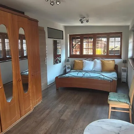 Duplex Renove Avec Terrasse Privative A 10 Mm De Colmar Et Eguisheim, A 2 Mm Du Grand Axe Autoroutier Strasbourg Mulhouse Sainte-Croix-en-Plaine