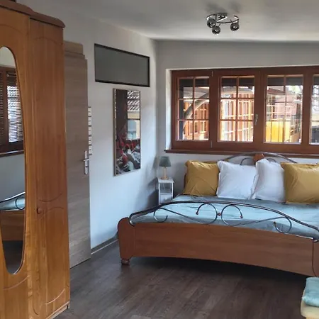 Duplex Rénové Avec Terrasse Privative à 10 Mm De Colmar Et Eguisheim, à 2 Mm Du Grand Axe Autoroutier Strasbourg Mulhouse