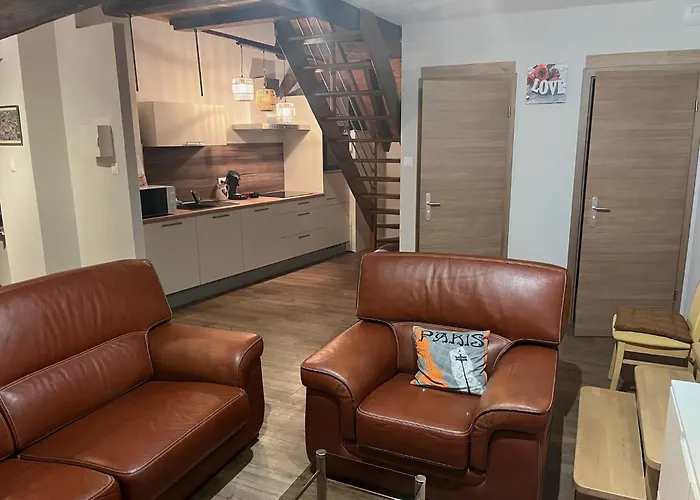 Duplex La Rose Rouge - 4 People Sainte-Croix-en-Plaine